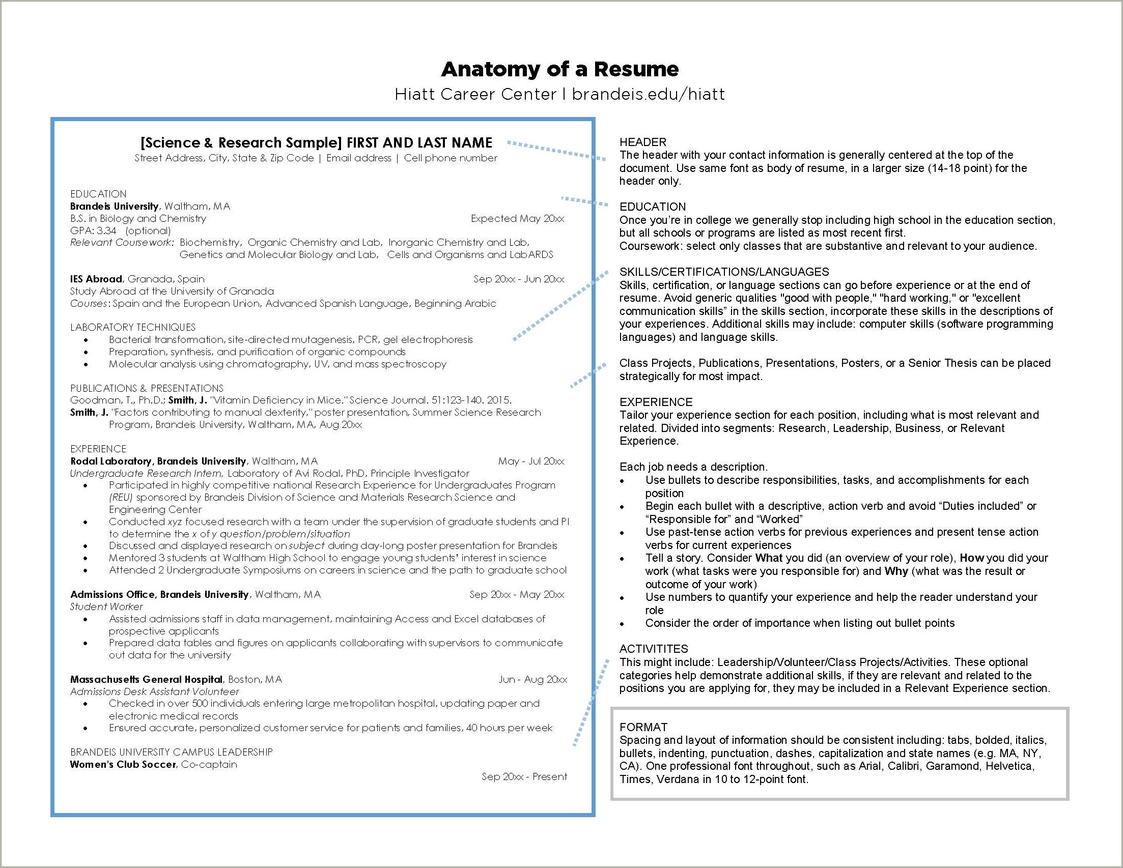Address Experience In Higher Education In Resume