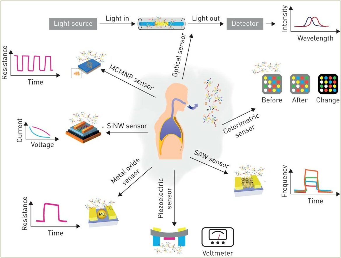 Alcohol Breath Analysis Tech Objective Resume