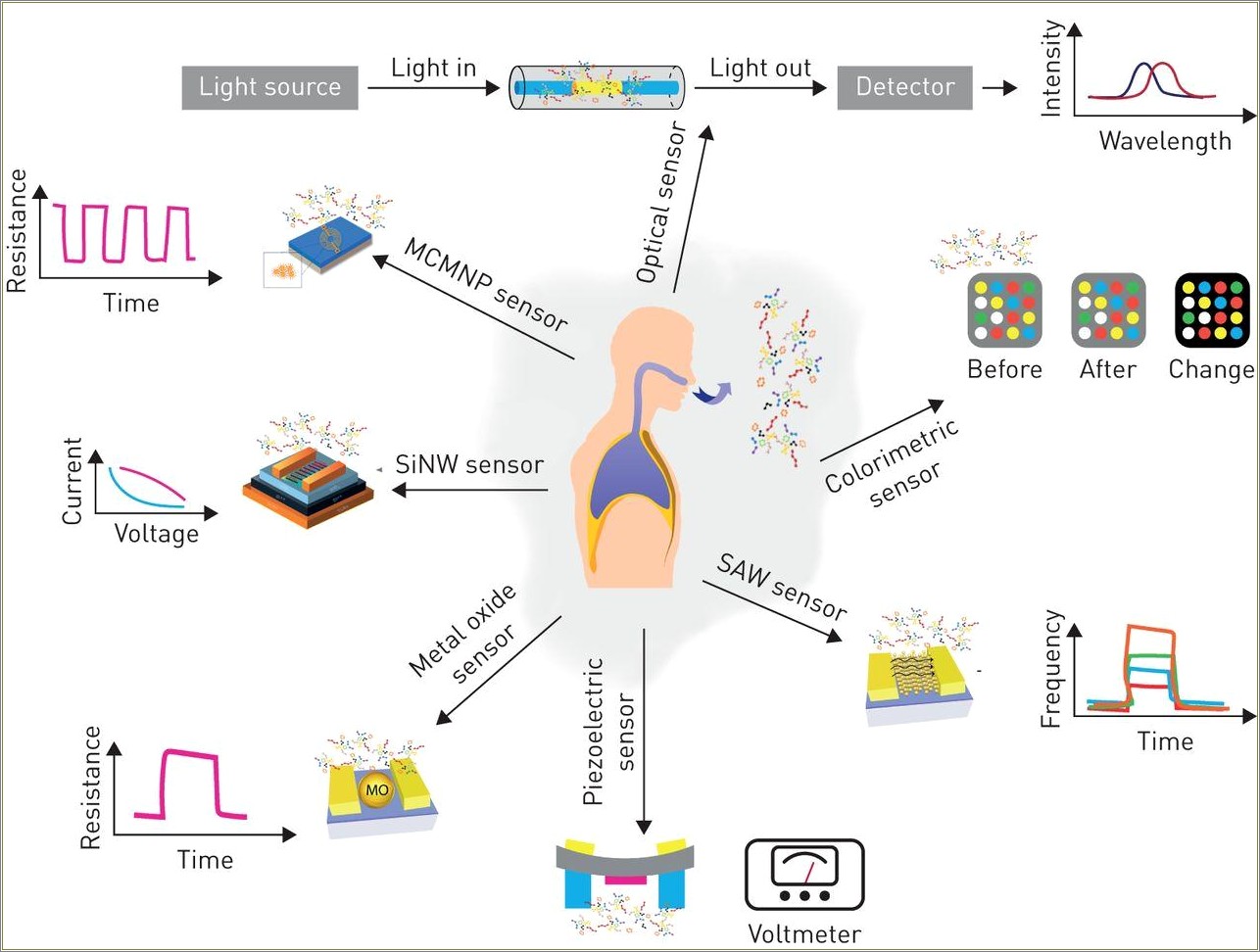 Alcohol Breath Analysis Tech Objective Resume