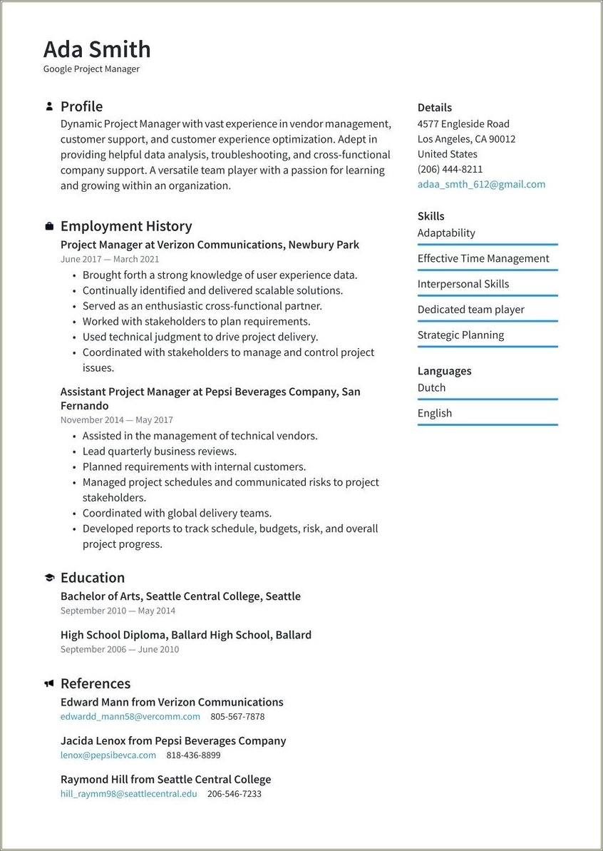 An Example Of A Profile For A Resume