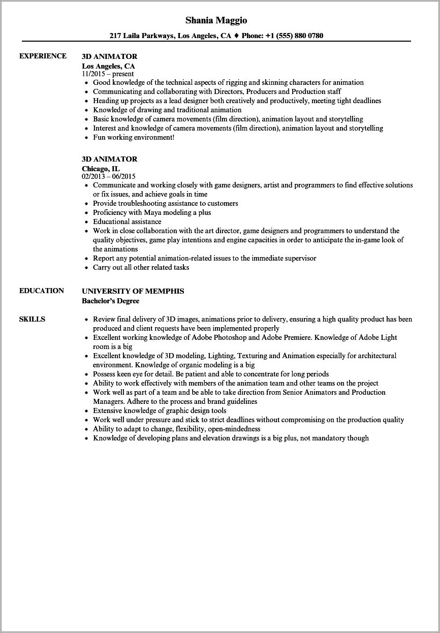 Animation And Media Professional Summary Resume Examples