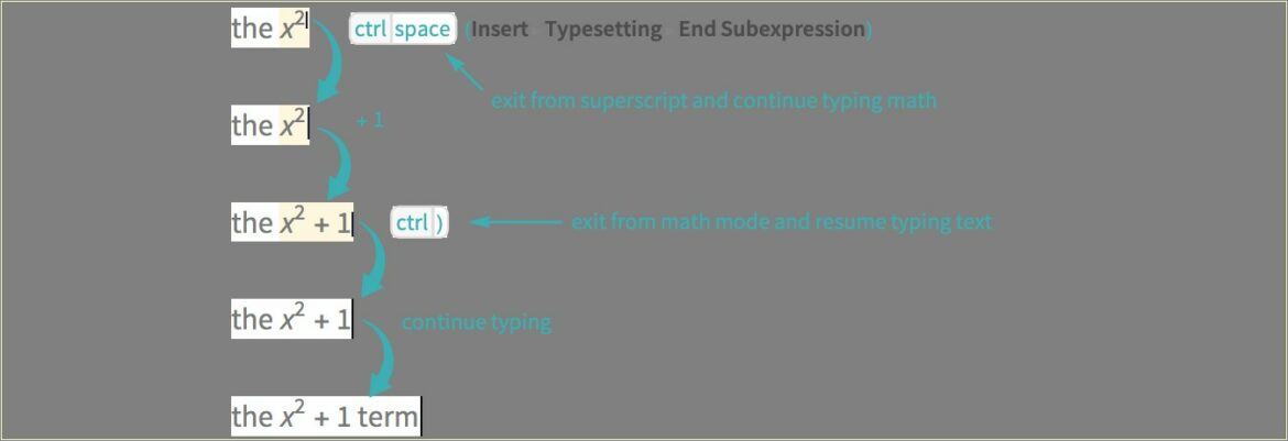 Another Word For Fast Typer On Resume