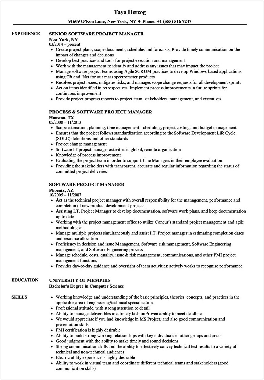 Application Development Project Manager Resume Sample