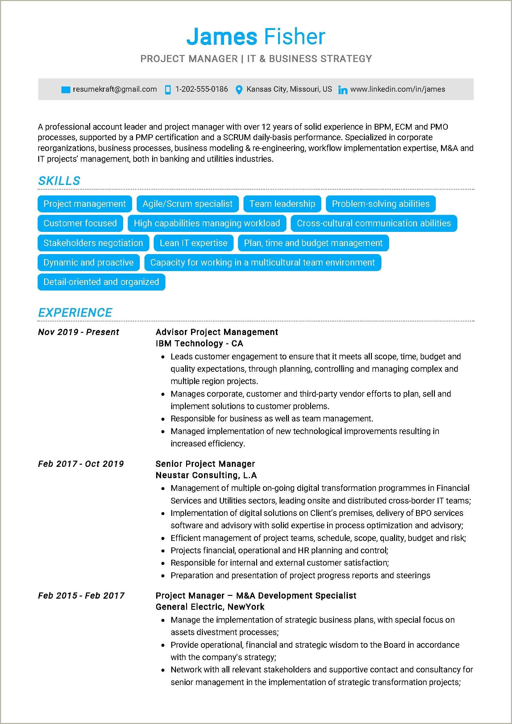 Areas Of Expertise Project Manager Resume
