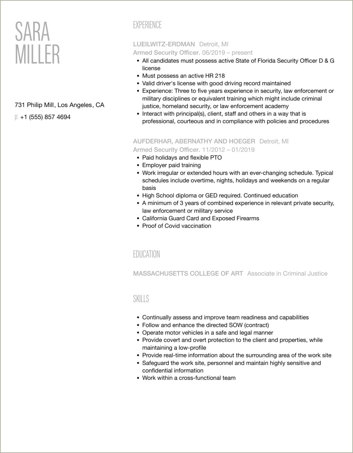 Armed Government Security Officer Resume Examples