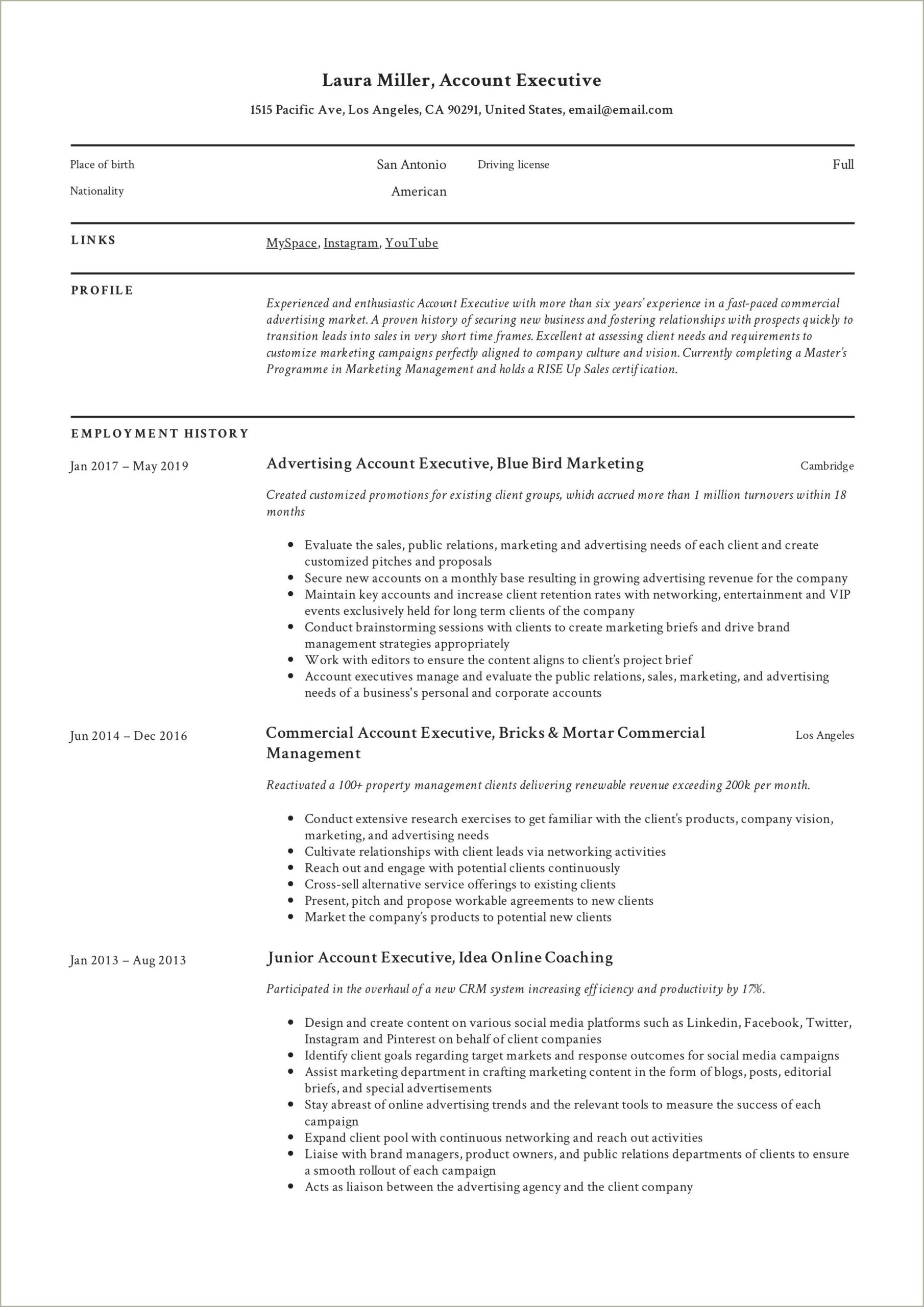 Asample Of Executive Account Manager Resume