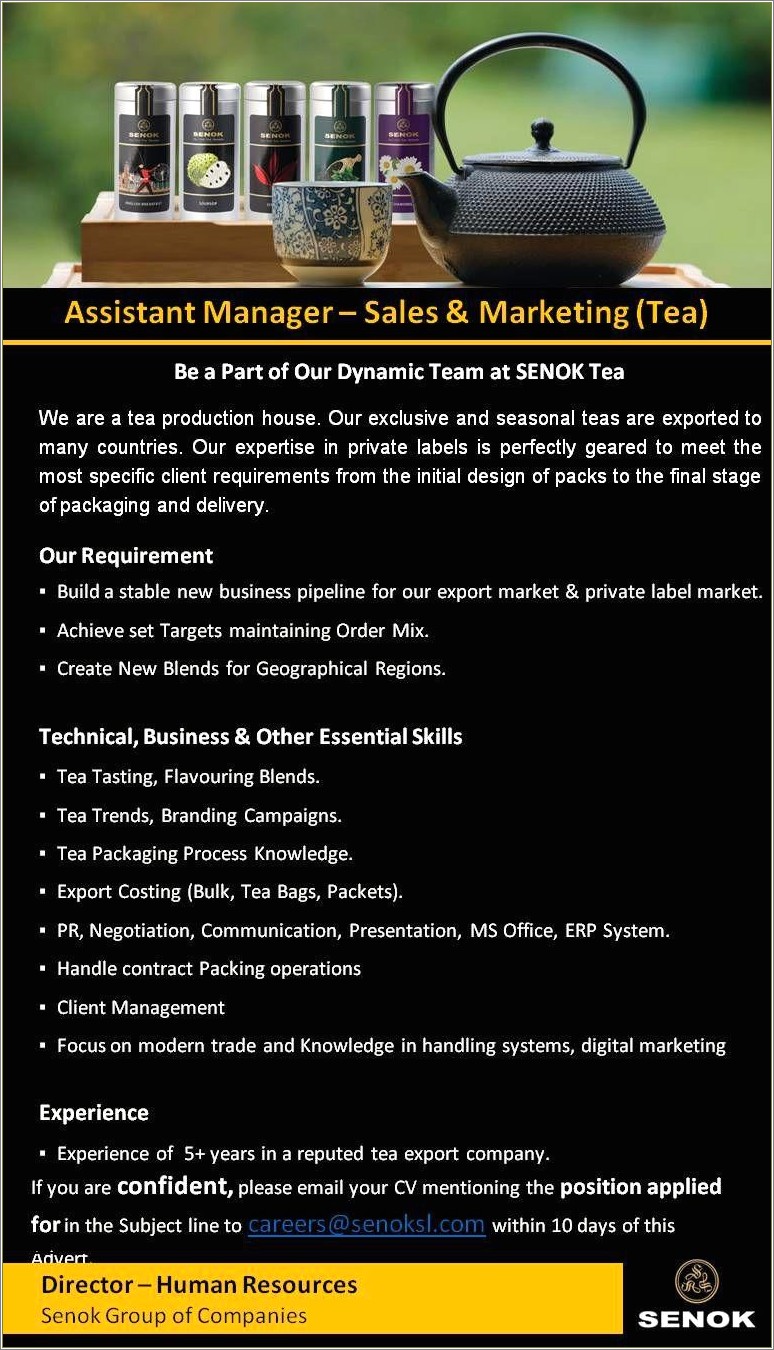 Assistant Manager Resume Jobs 10 Day