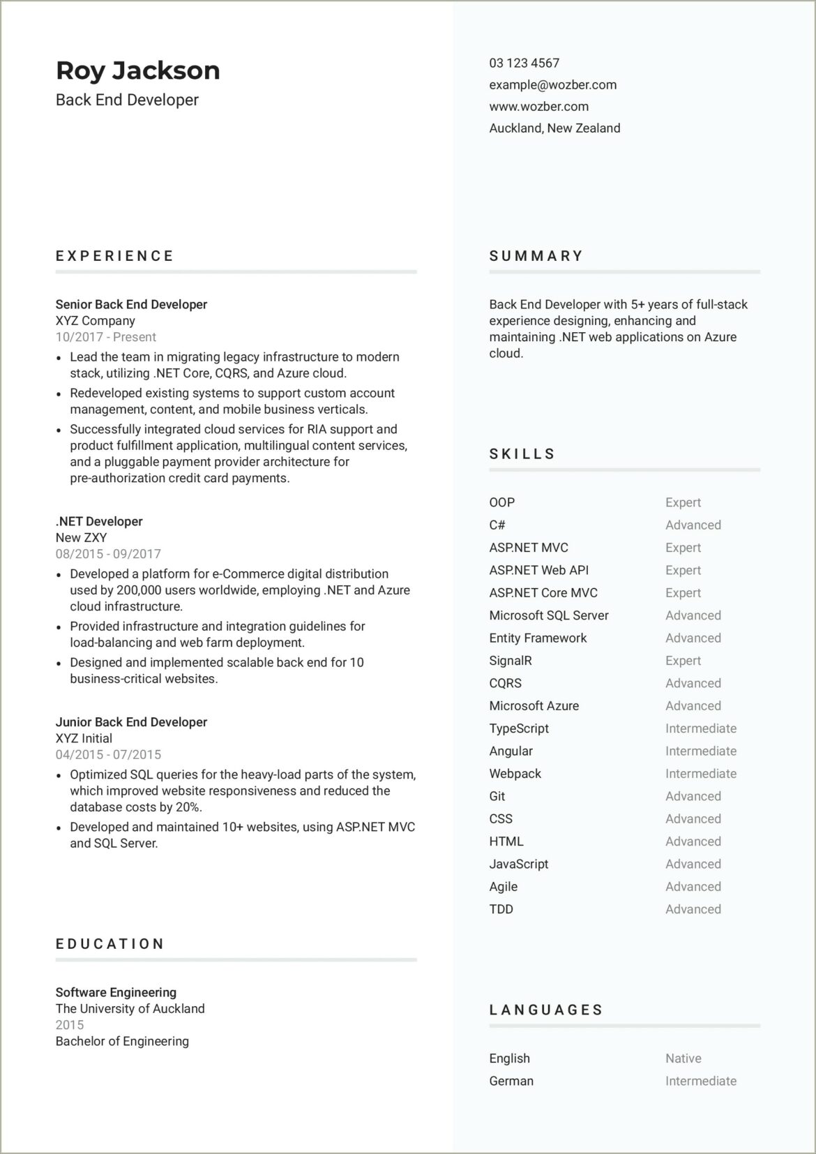 Azure Plateform Experience Points In Asp.net Resume