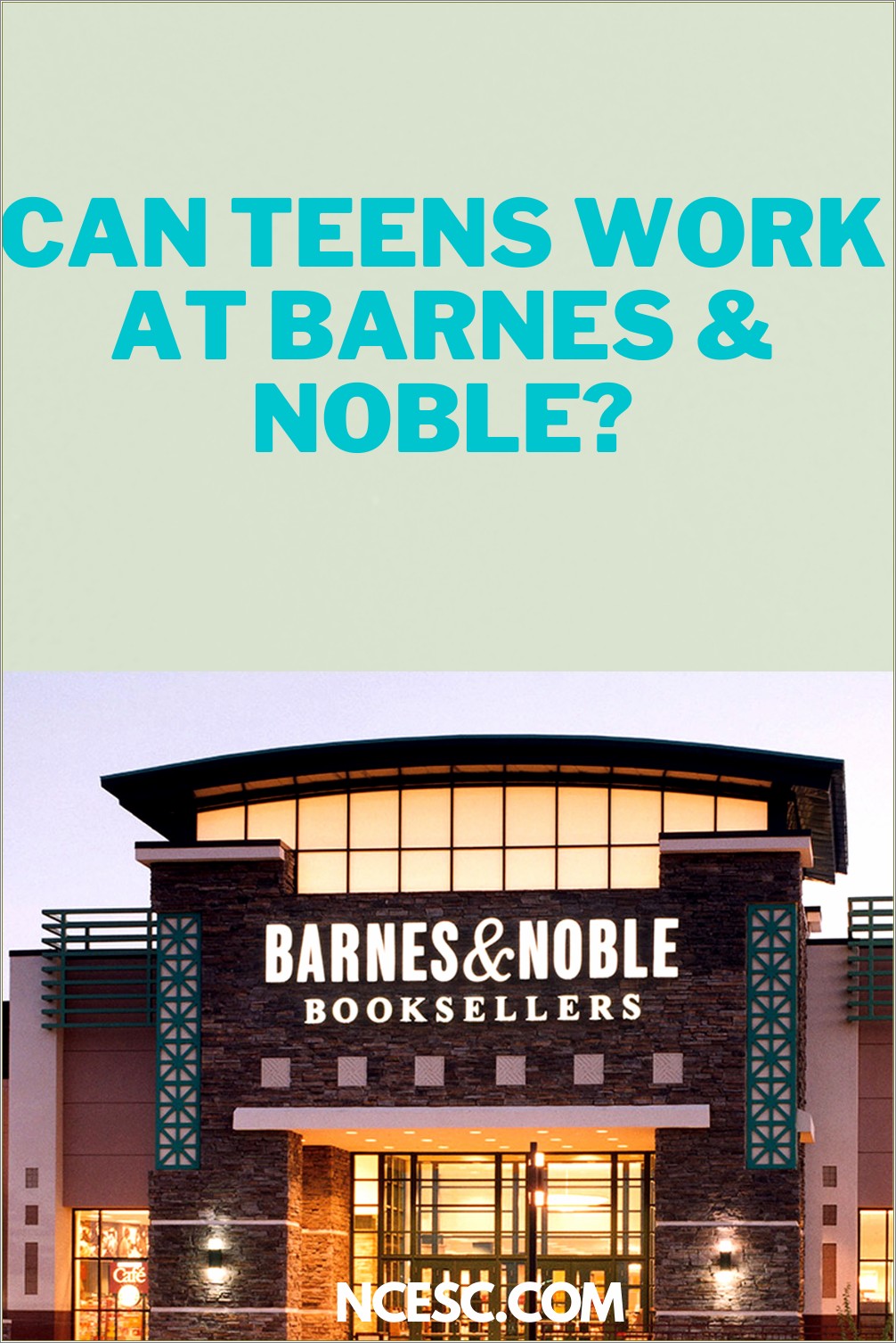 Barnes And Noble Bookseller Resume Example