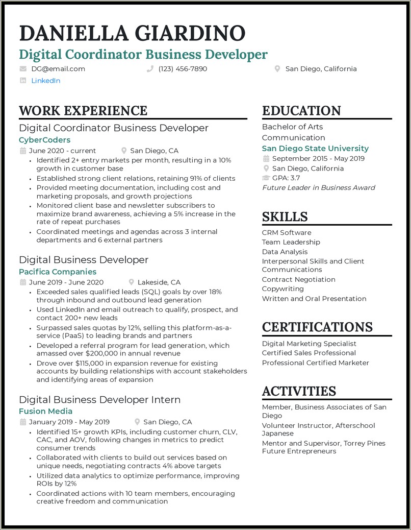 Best Business Development Resume With Color