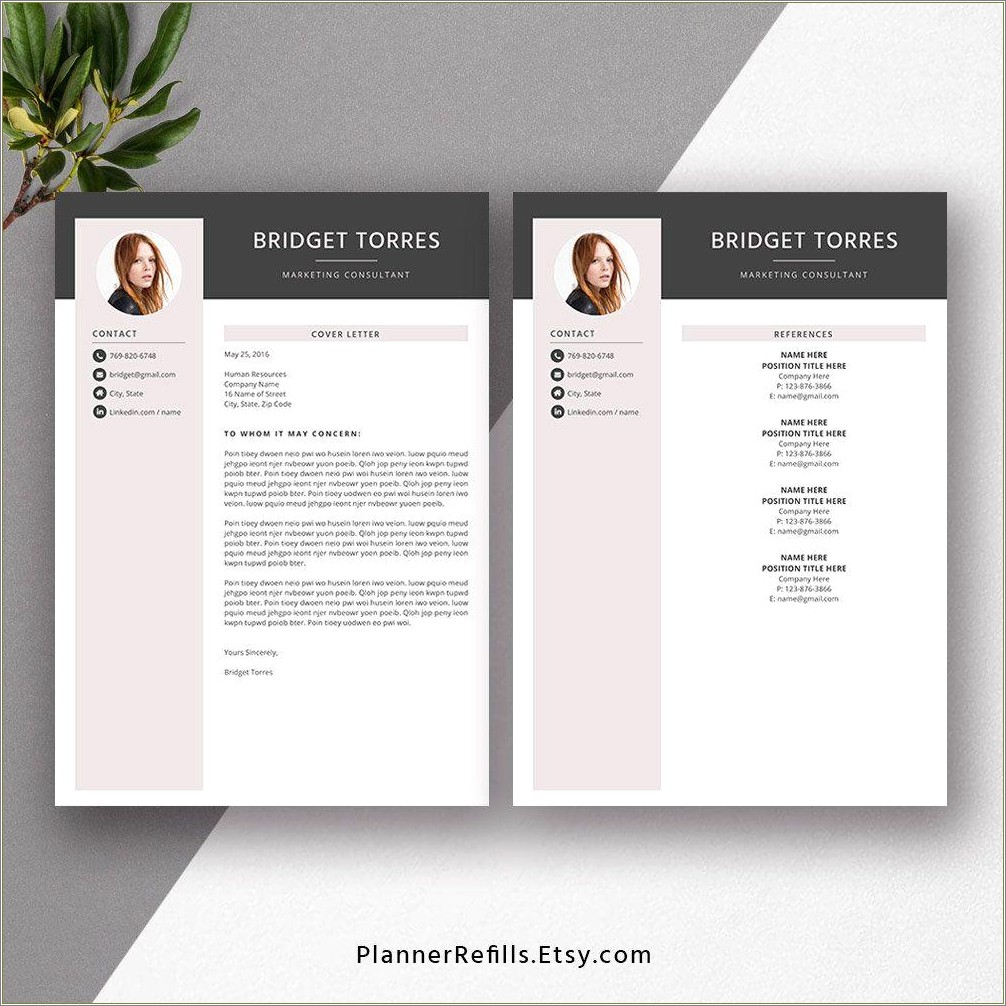 Best Business Resume 2019 Word Template