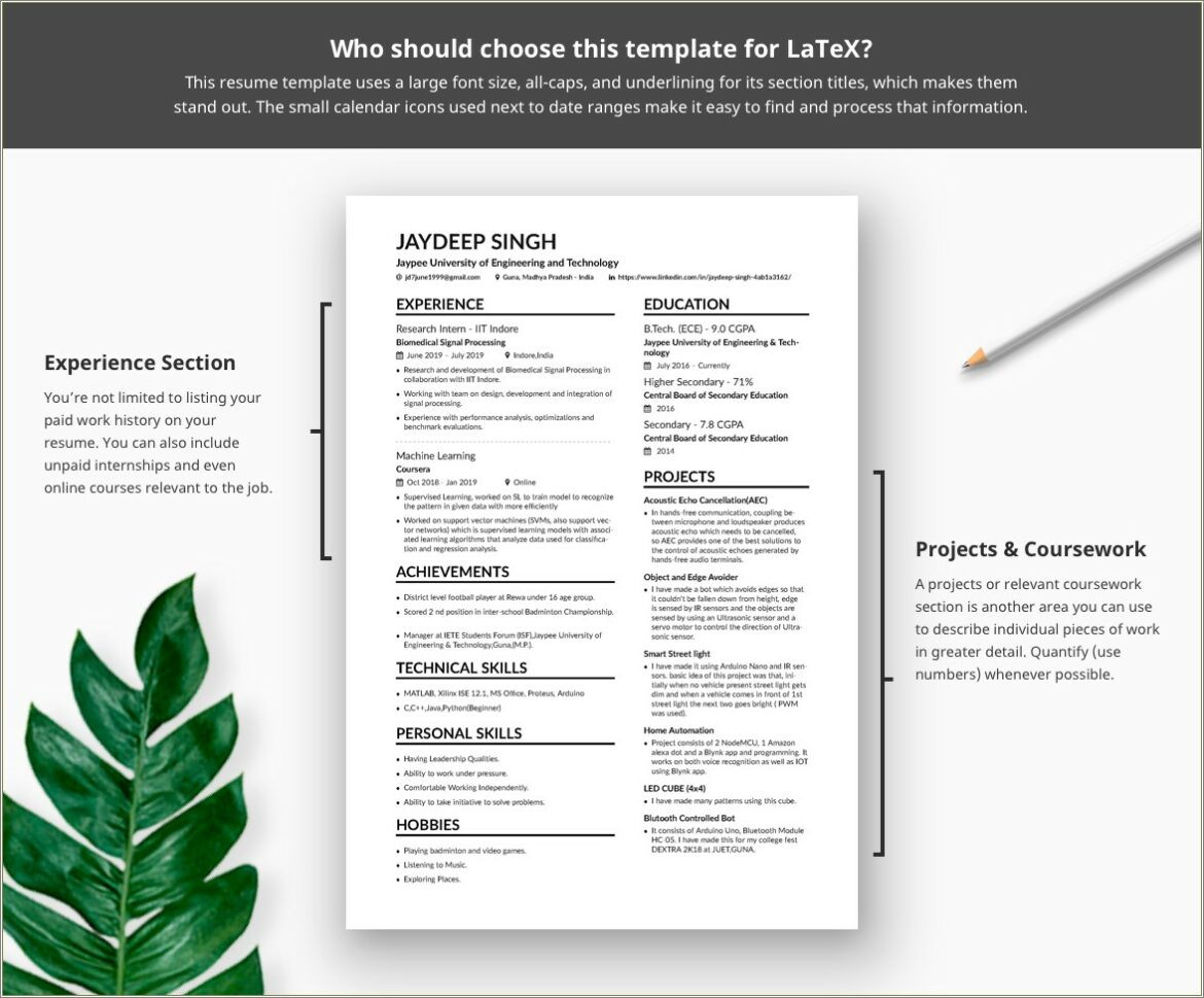 Best Latex Resume Templates Phd Internship