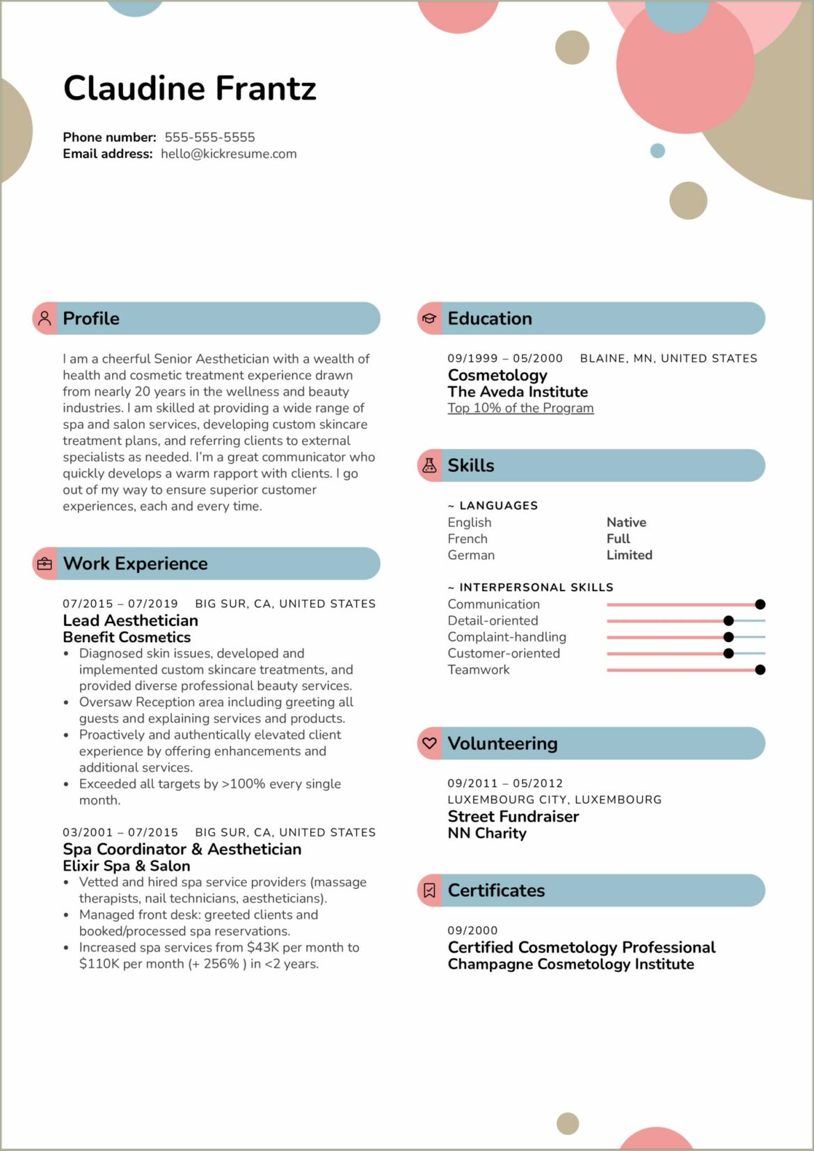 Best Layout For Resume 2019 Non Profit