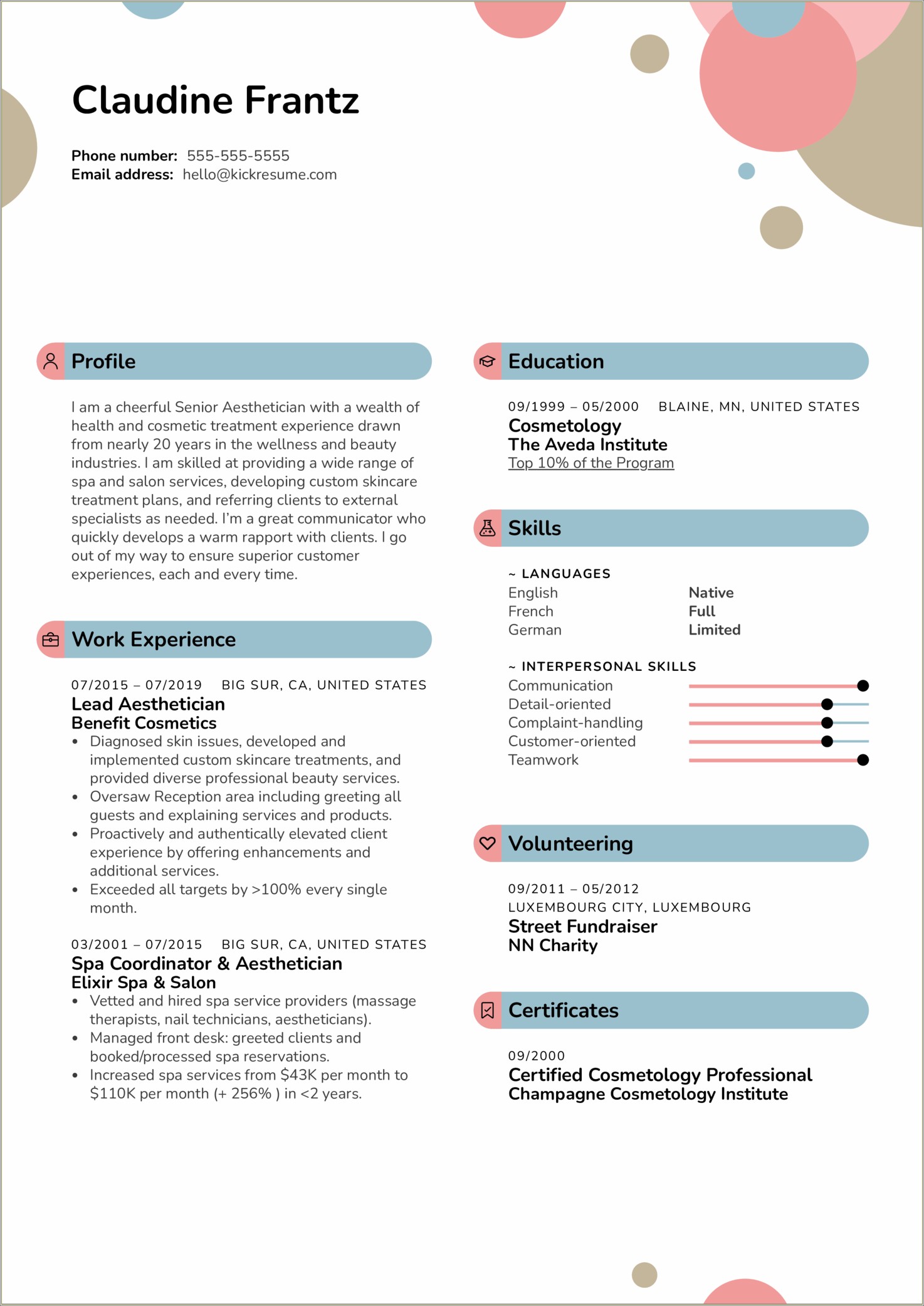 Best Layout For Resume 2019 Non Profit