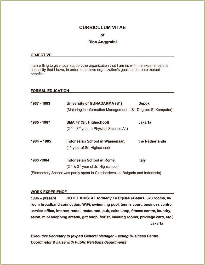 Best Objective For Resume For Business