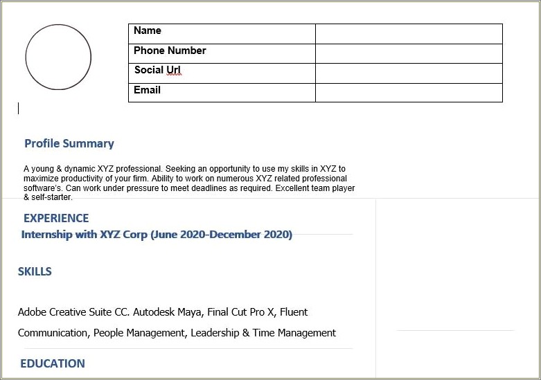 Best Profile Title For Fresher Resume