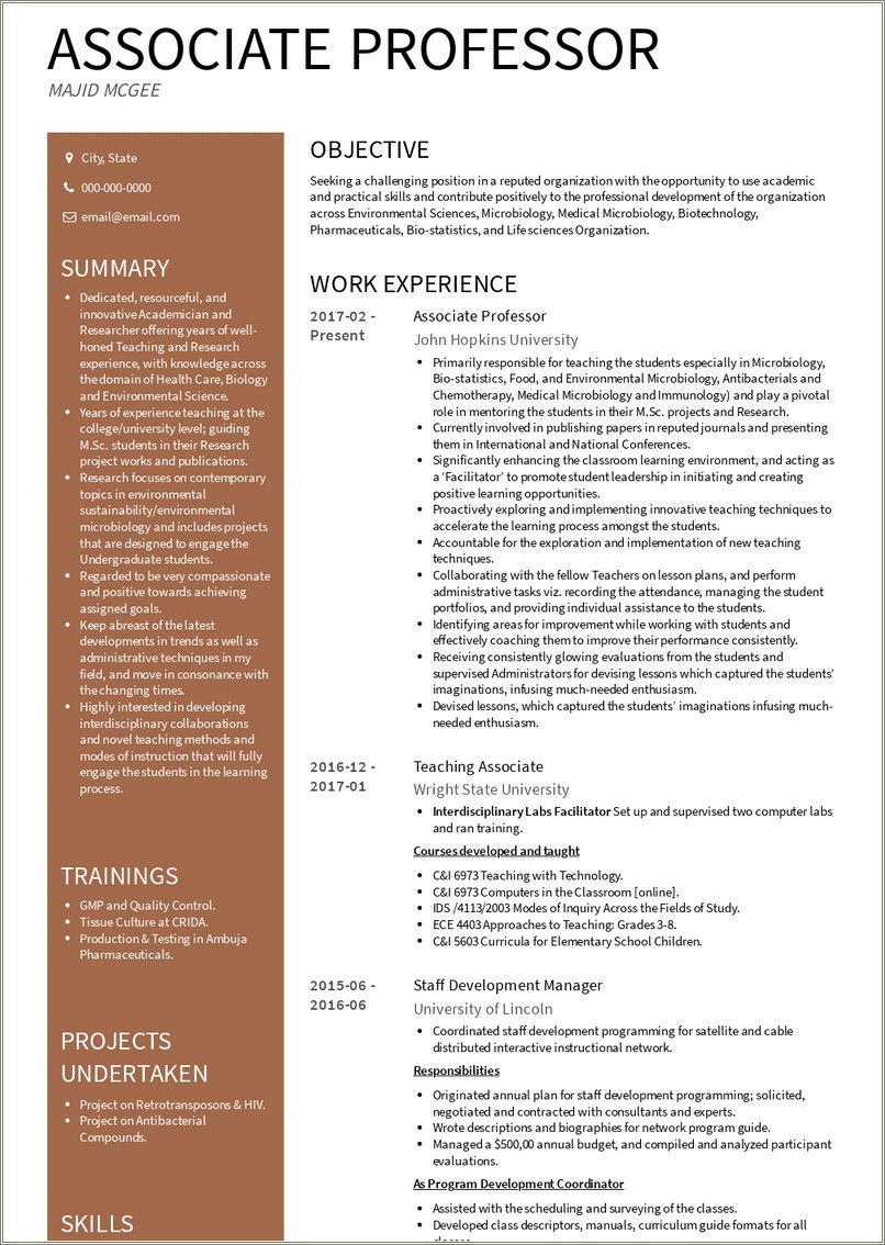 Best Resume And Website Of A Professor