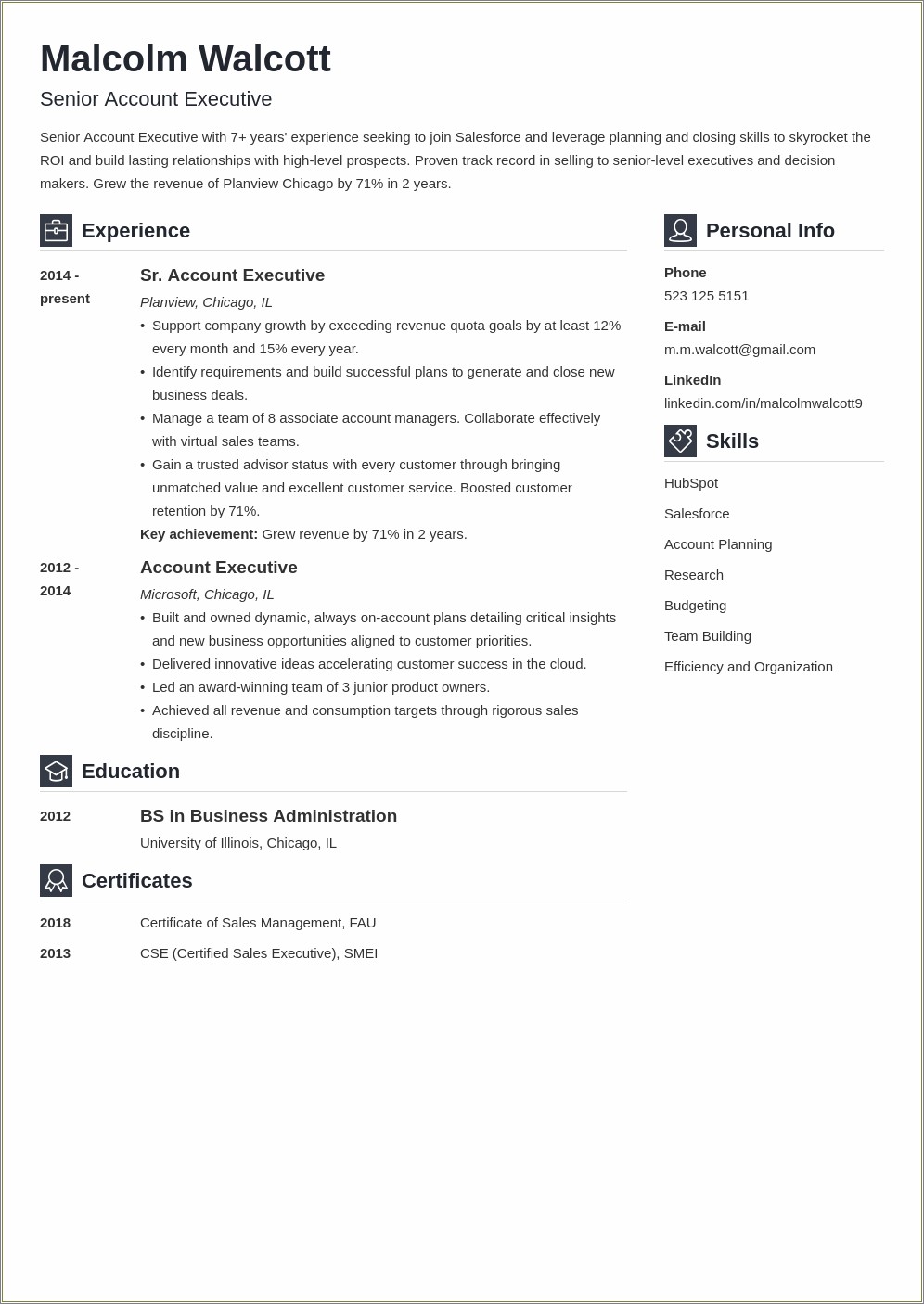 Best Resume For Adversising Agency Account Director