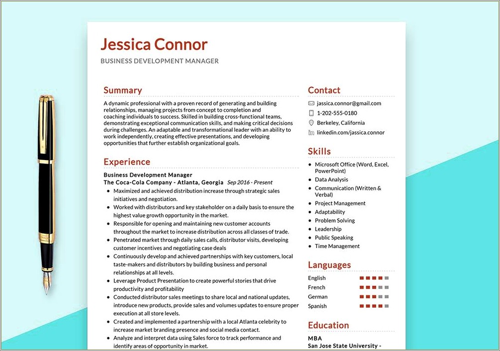 Best Resume For Business Development Manager