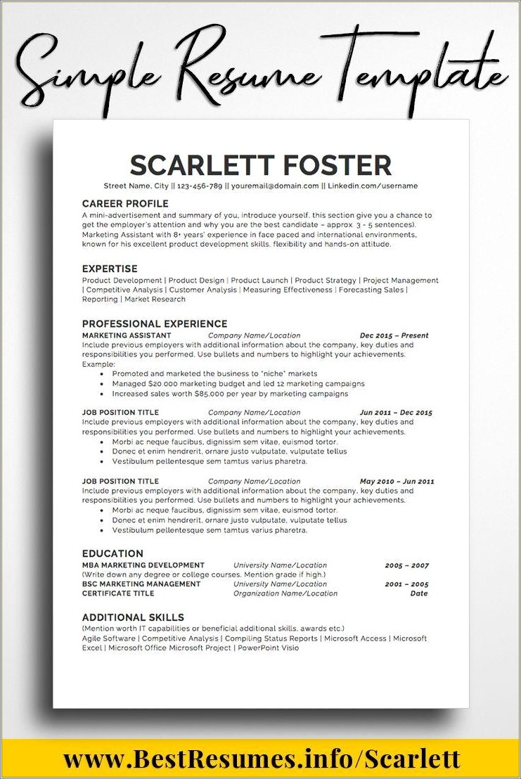 Best Resume Format For Company