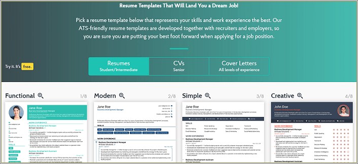 Best Resume Layout For Employment Websites