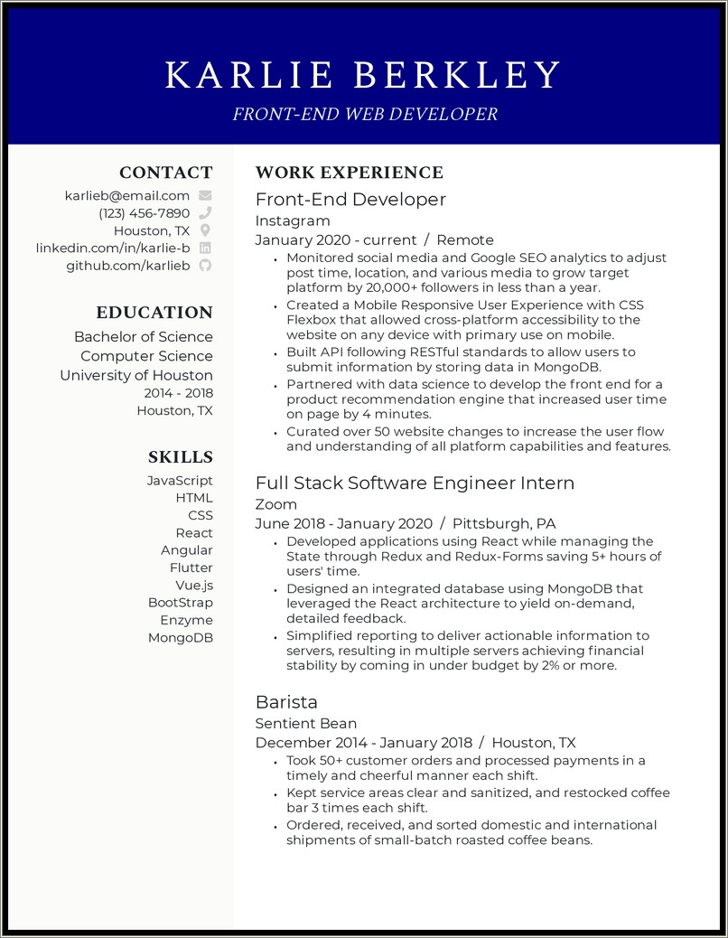 Best Resume Writing For Web Developer