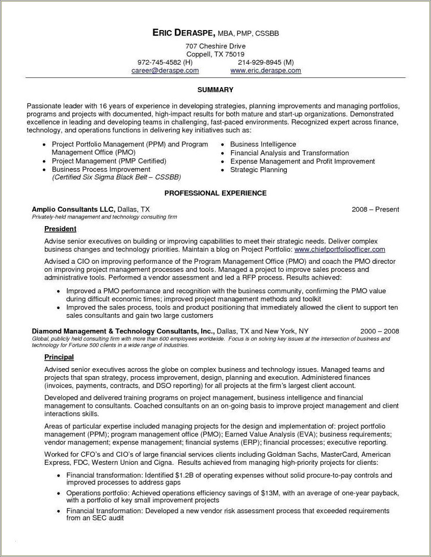 Best Summary On Resume For Business Analysts Cio