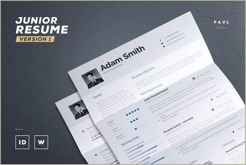 Best Template Styles For Resume In 2017