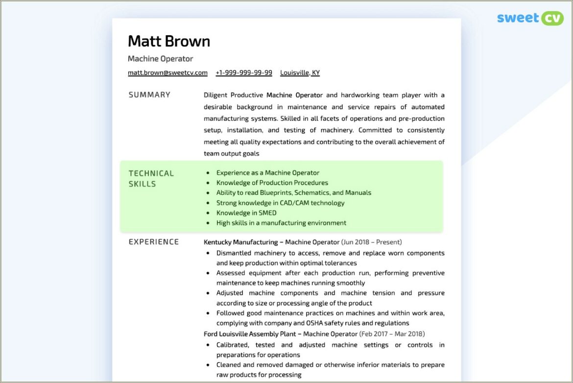 Best Type Of Resume Technical Career