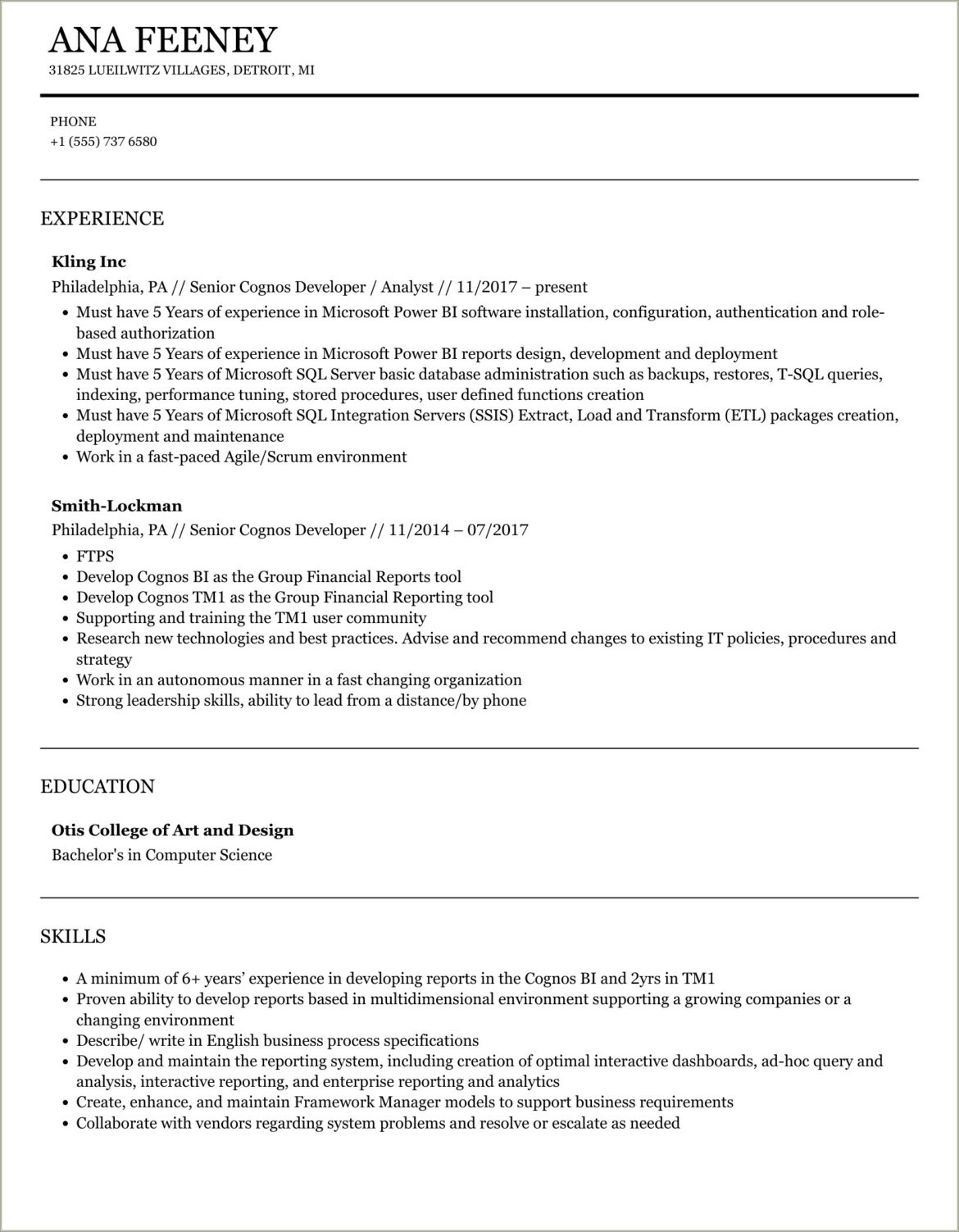 Bi Senior Cognos Technical Lead Sample Resume