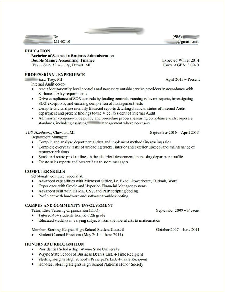 Big 4 Audit Manager Sample Resume