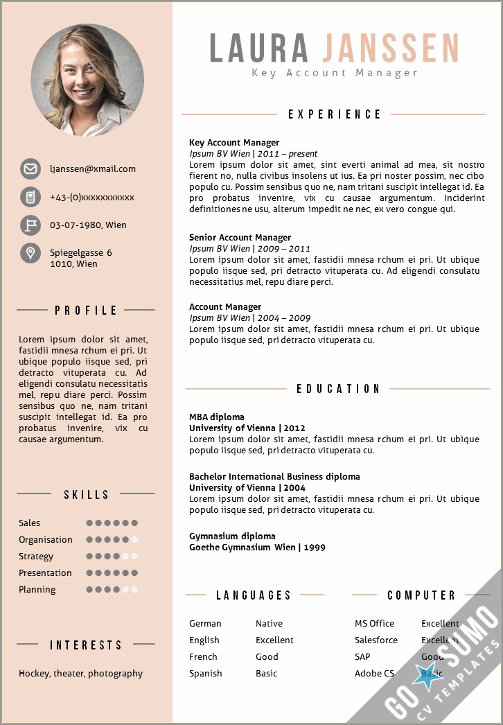 Business Account Manager Color Resume Examples