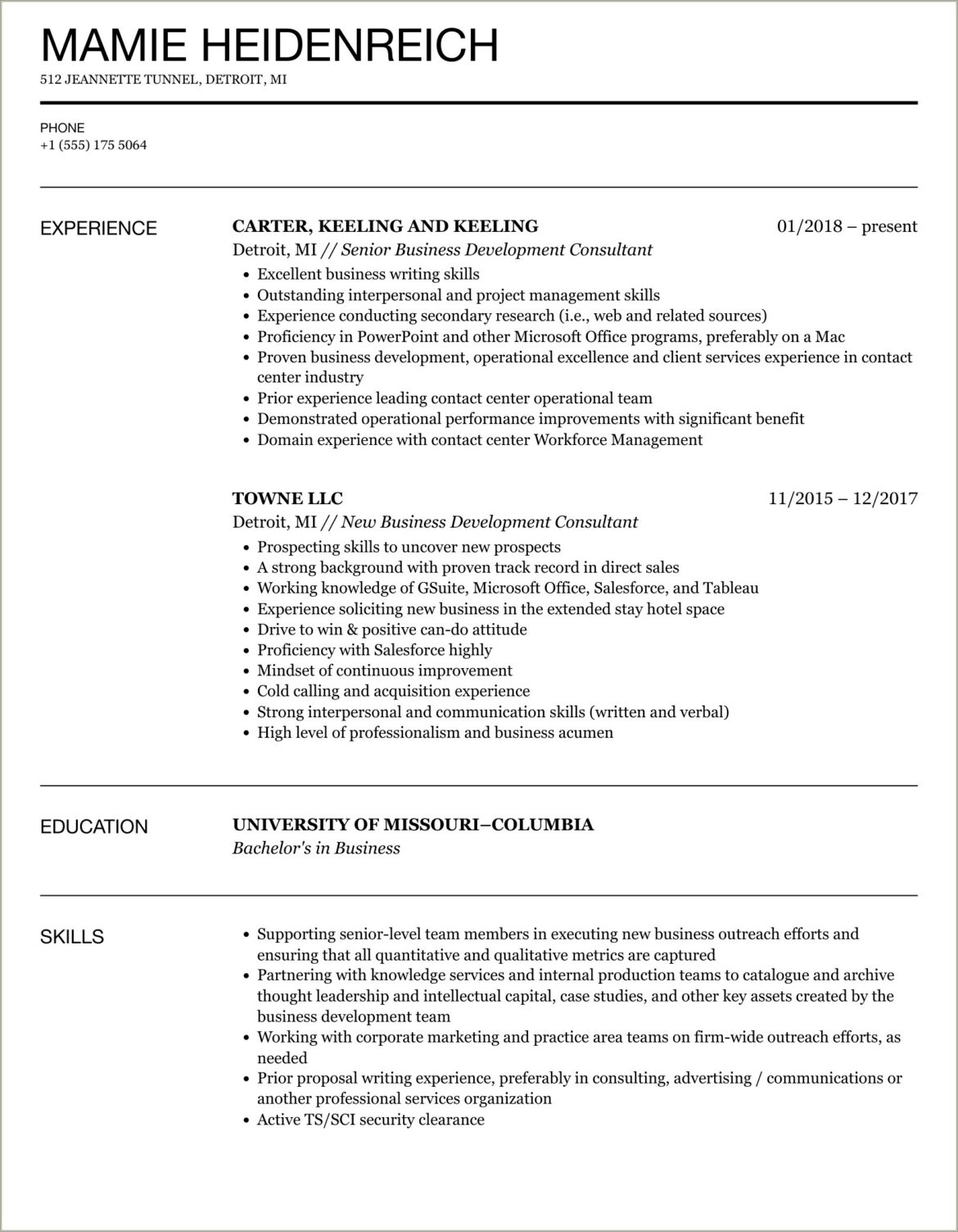 Business Developer Consultant Job Description For Resume