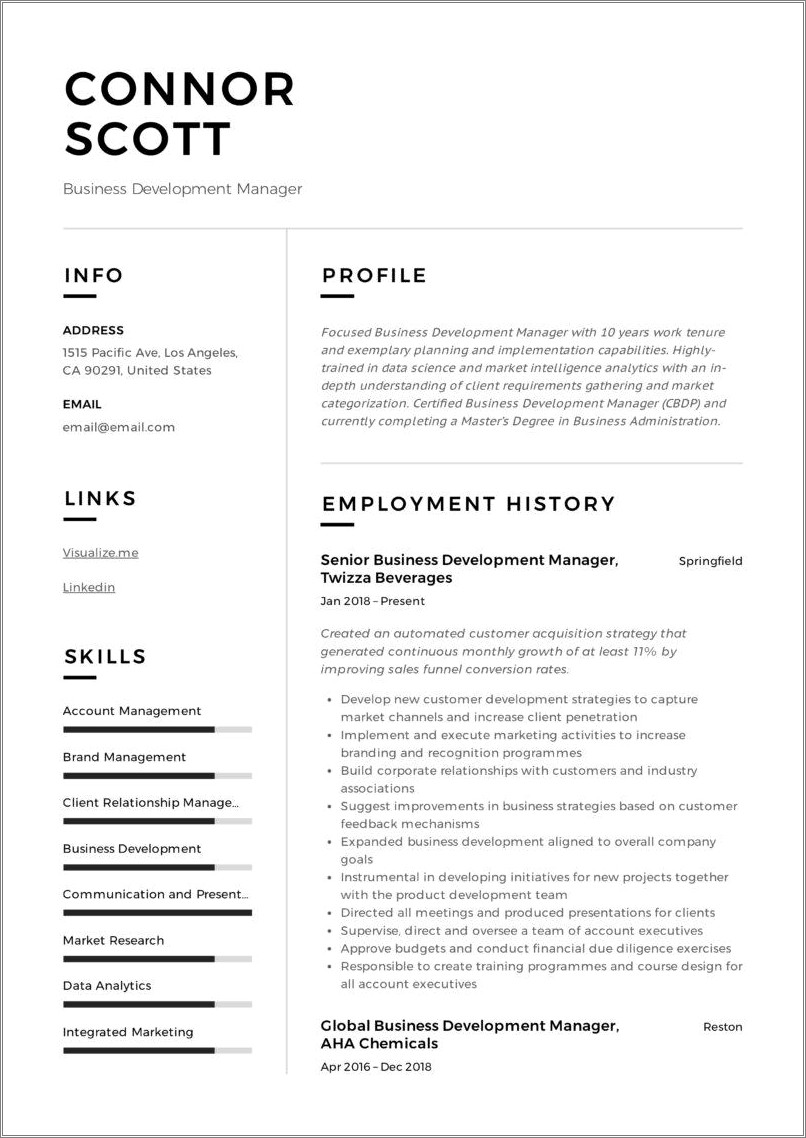 Business Developer Short Summary For Resume