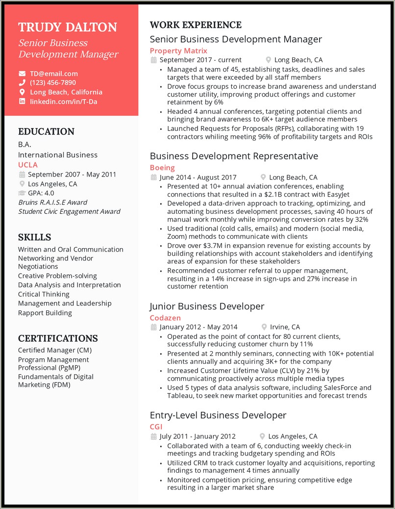 Business Development Manager Brief Resumen Description