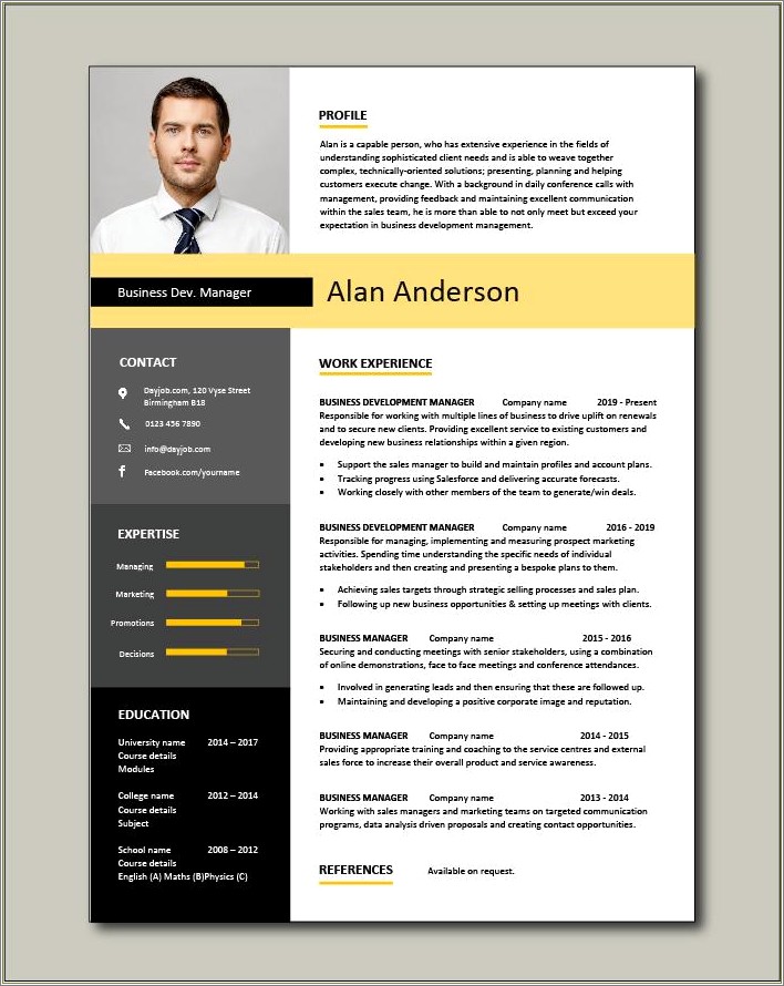 Business Development Manager Functional Resume Examples