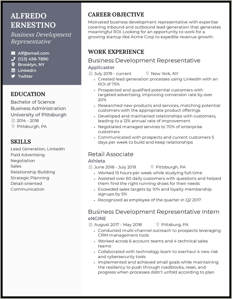 Business Development Manager Resume Doc India