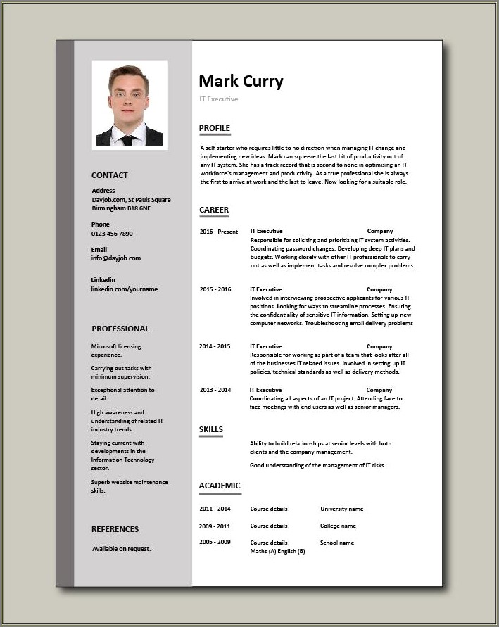 Business Professional Executive Summary For Resume