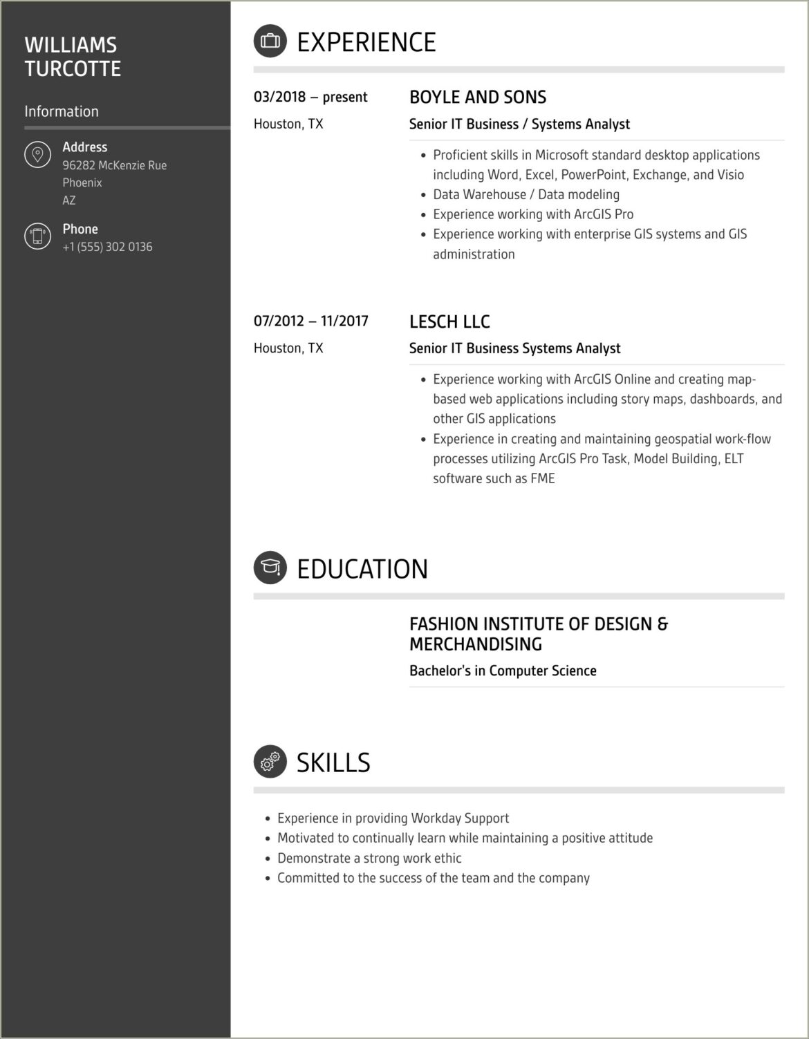 Business System Analyst Resume Template Word