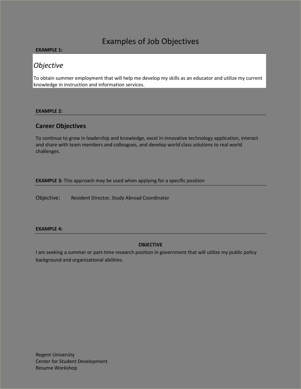 Career Objective Examples For Resume Developer