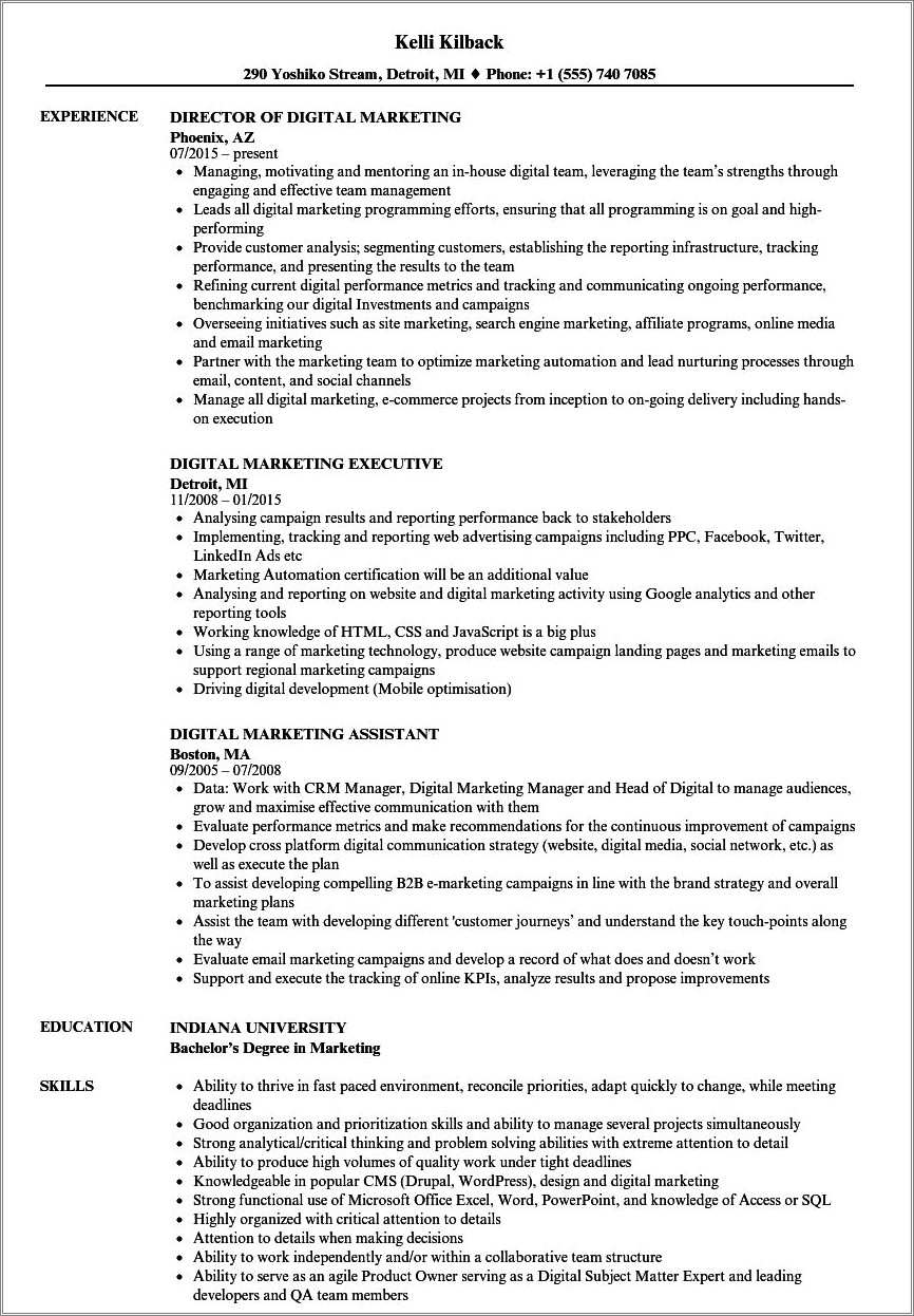 Career Objective For Digital Marketing Resume