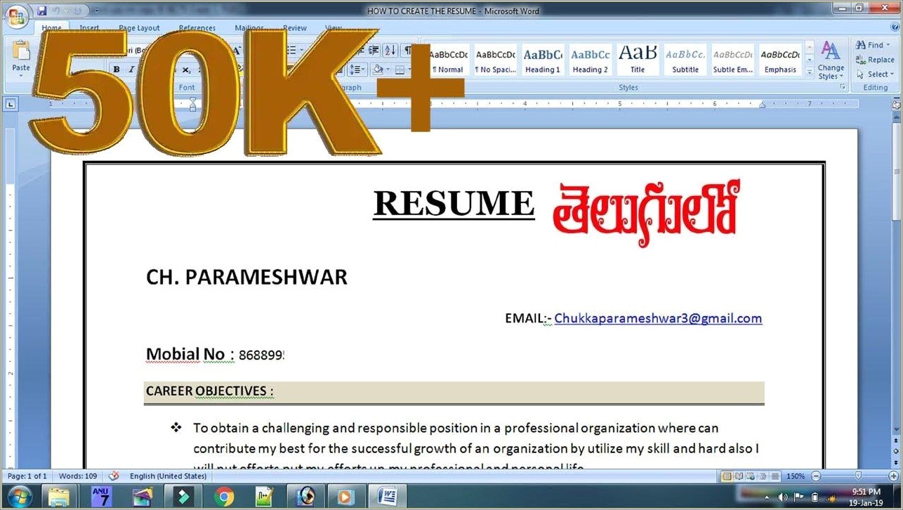 Career Objective In Resume Meaning In Telugu