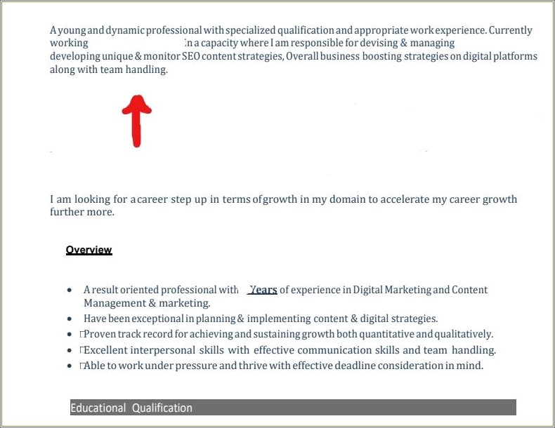 Career Objective On Resume Examples Marketing