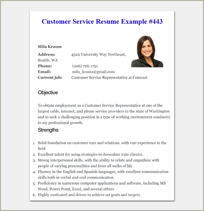 Carrer Objective On Resume For Customer Services