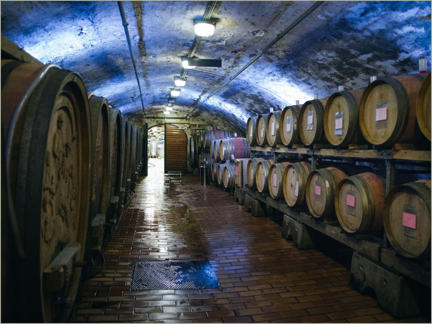 Cellar Worker Juice Wine Consentrate Resume