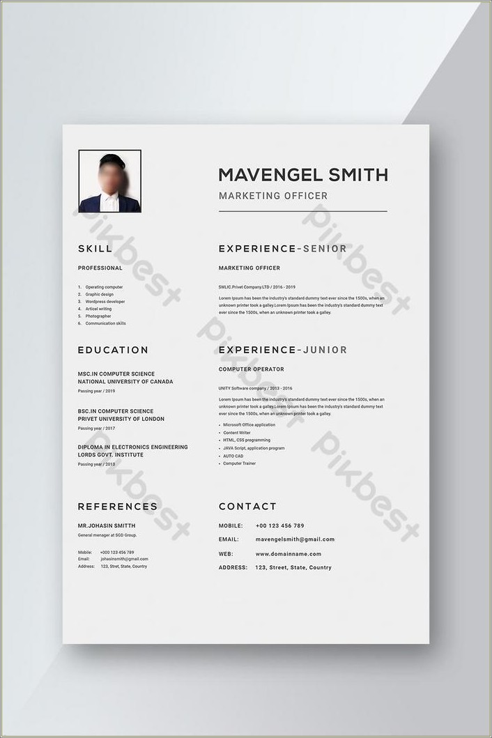 Clean Professional Resume Word Templates Free
