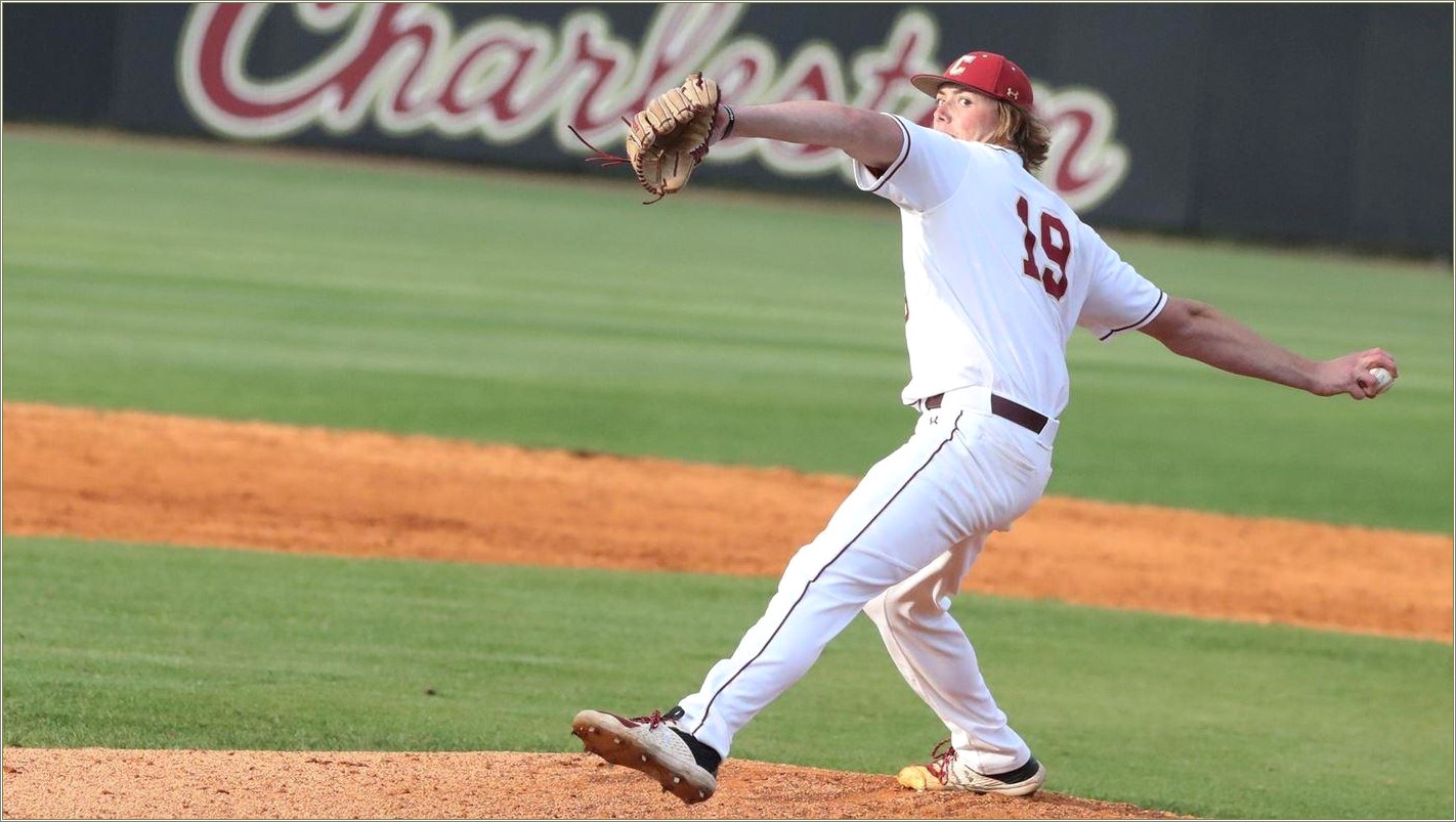 College Of Charleston Honors Resume Example