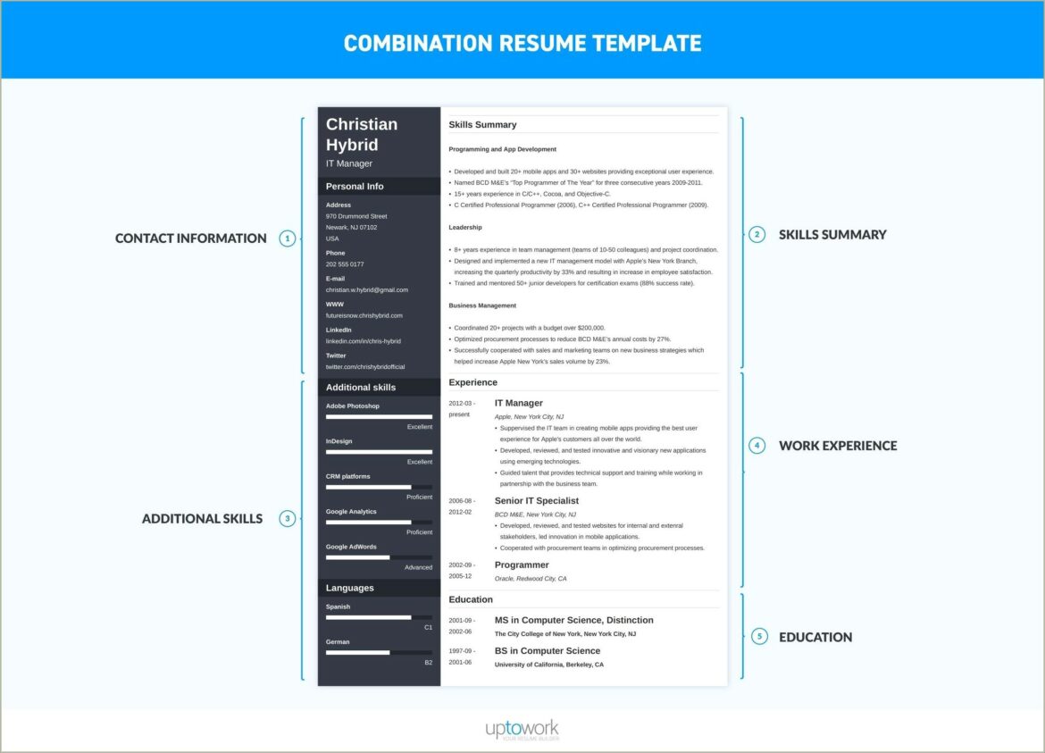 Combination Resume Definition Format Layout 117 Examples Hloom