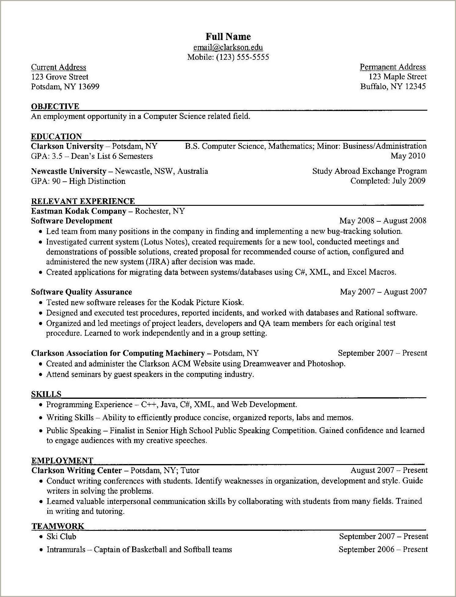 Computer And Soft Skills Resume Examples