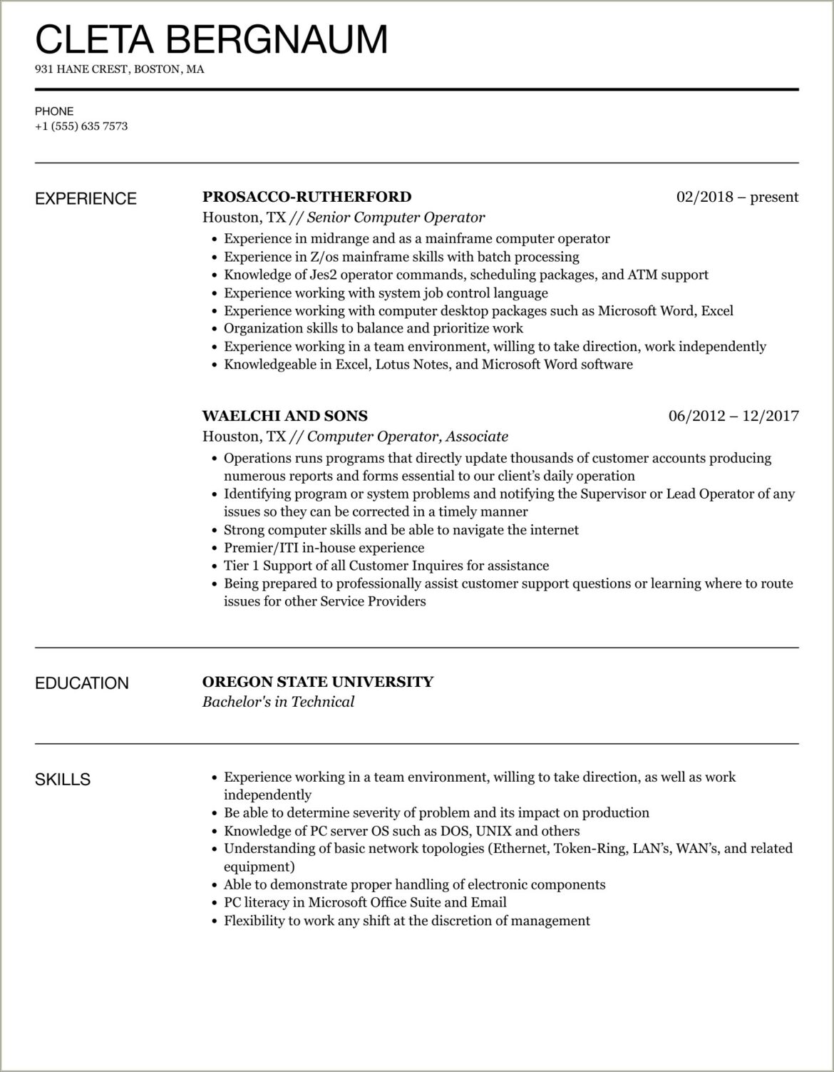 Computer Operator Resume Format Download Word